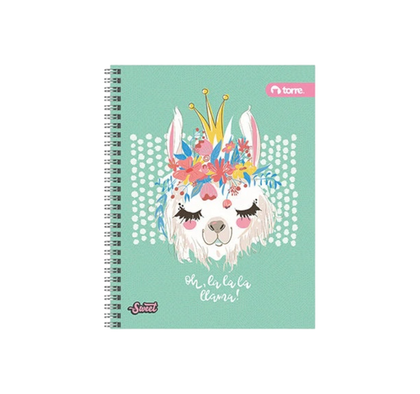 Cuaderno Profesional pasta rígida 100 Hojas Cuadro Chico