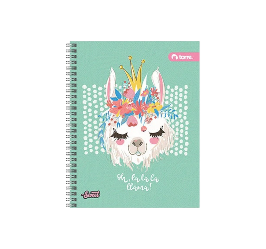 Cuaderno Profesional pasta rígida 100 Hojas Cuadro Chico