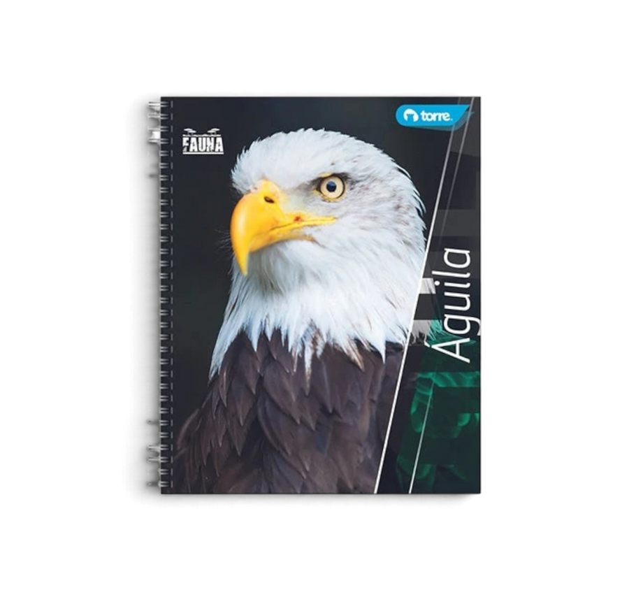 Cuaderno profesional 100 Hojas Raya