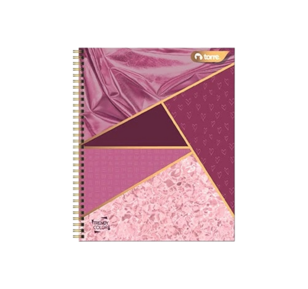 Cuaderno francés 100 hojas raya