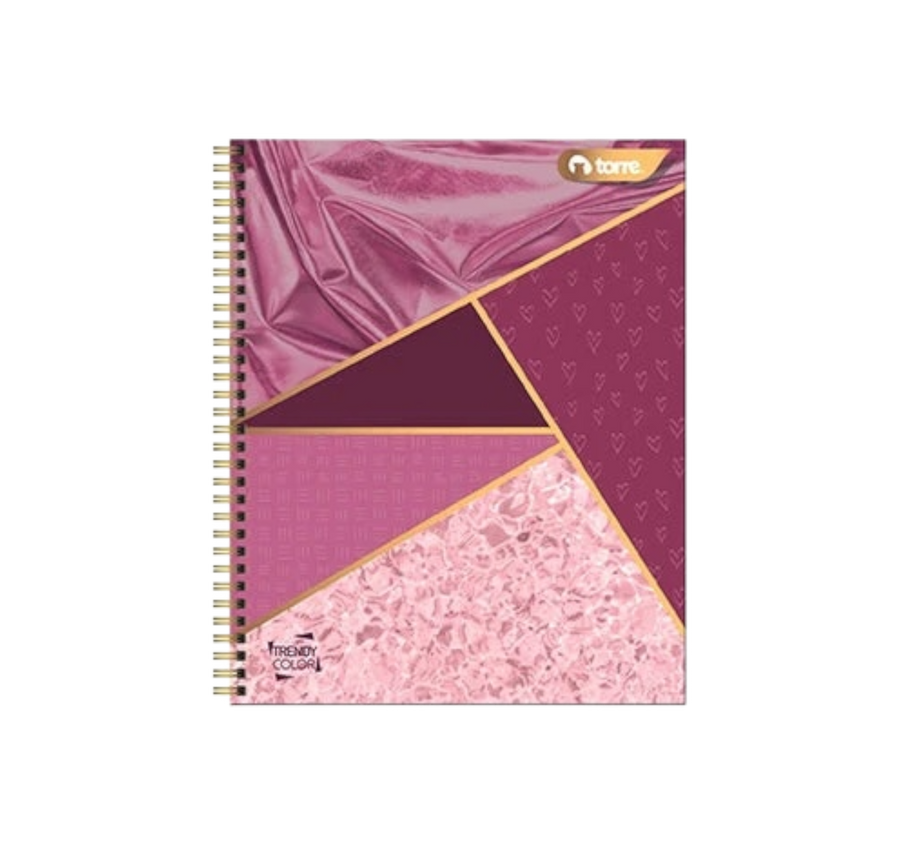 Cuaderno francés 100 hojas raya