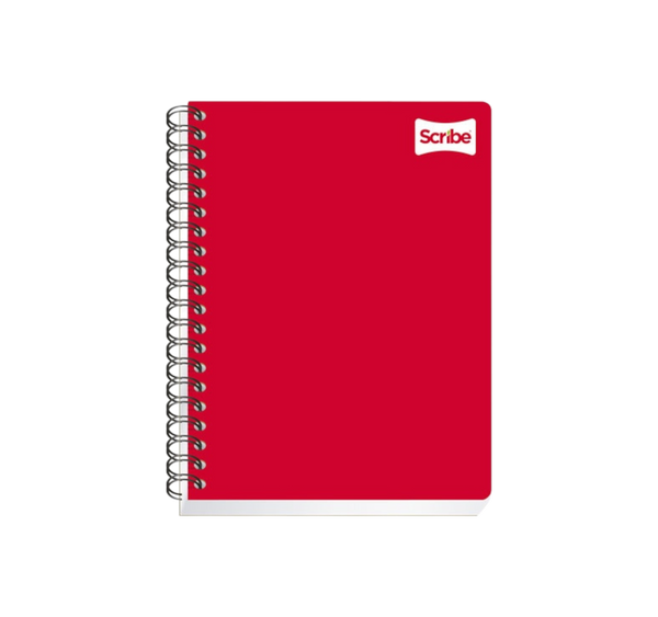 Cuaderno Profesional Scribe Cuadro chico 100 Hojas